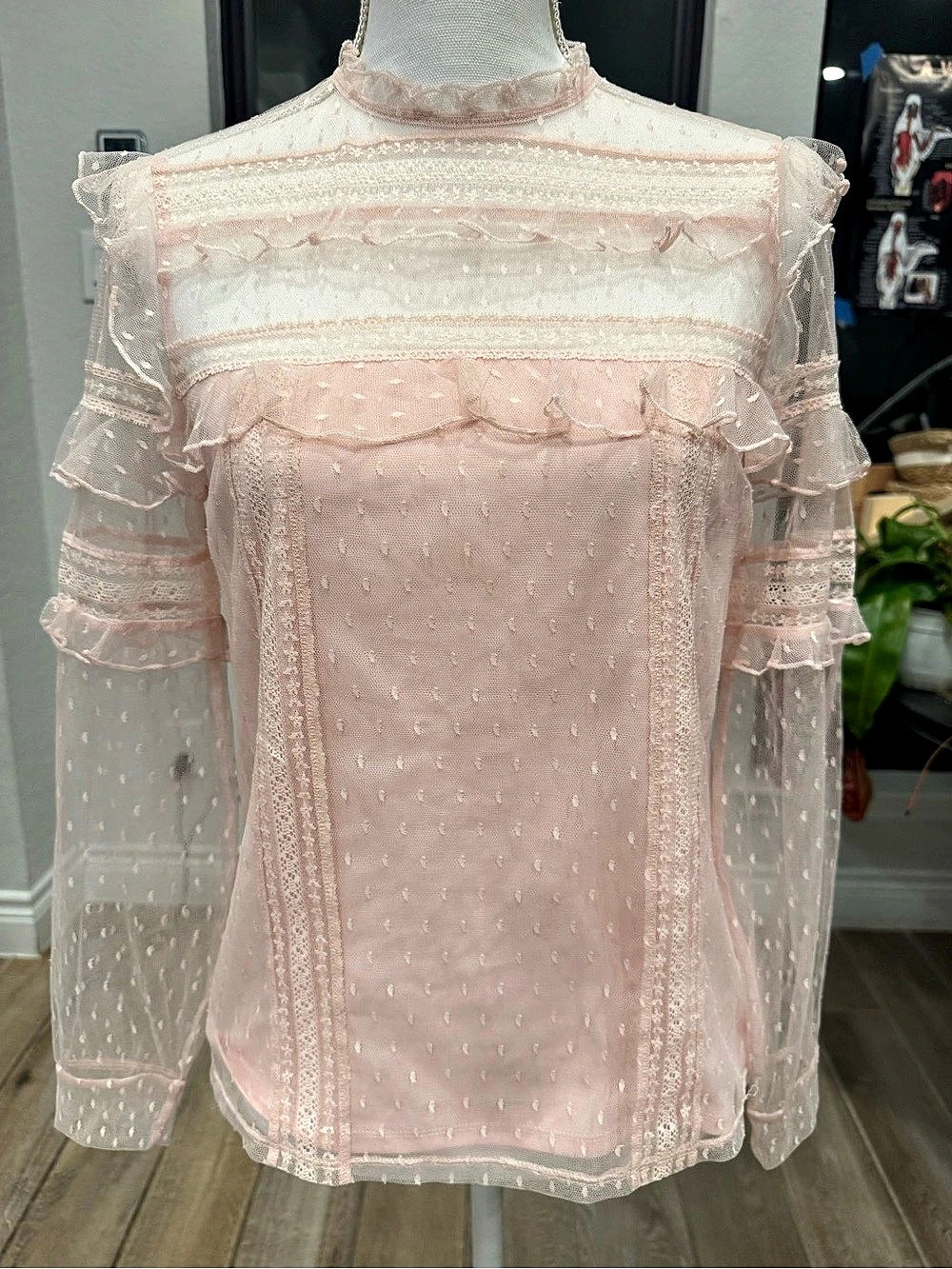 Express Ruffle Lace Sleeve Blouse, Ballet Pink, Size XS